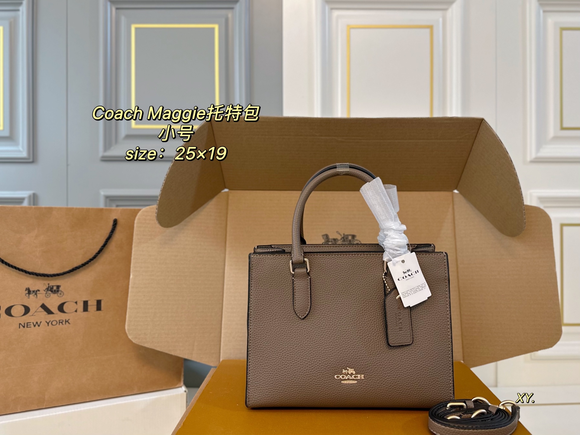 coach bag 160